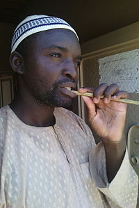 BRUSHING WITH LICORICE STICK